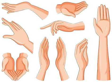 Free Vector | Collection of human hands