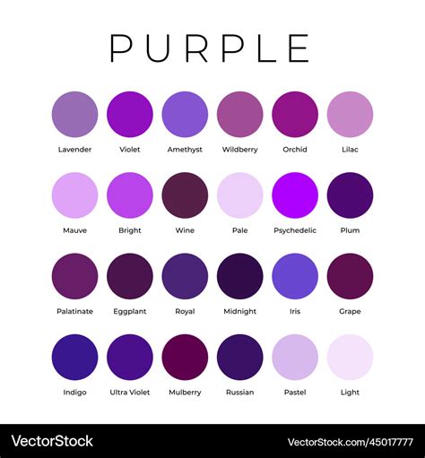 Purple color shades swatches palette with names Vector Image