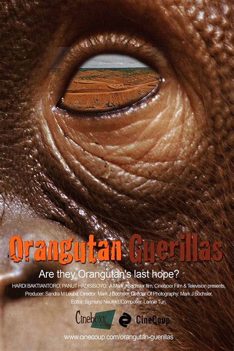 Orangutan Guerillas Poster B #Documentary #Adventure Vote at www ...