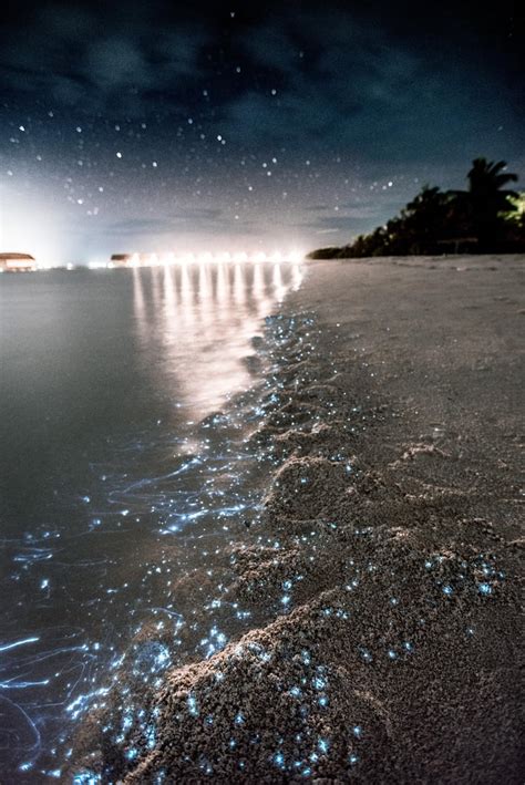 Sea of Stars, Maldives | Top Travel Destinations to Put on Your Bucket ...