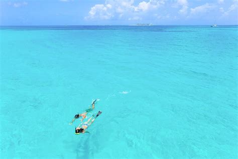 Snorkeling in The Bahamas - Sandy Toes Bahamas