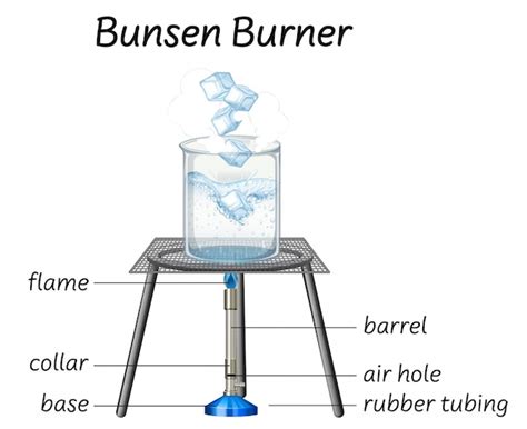 Free Vector | Science bunsen burner diagram