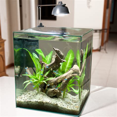 Best 5 Gallon Fish Tank And Aquarium Kit For Sale Now (Reviews 2022)