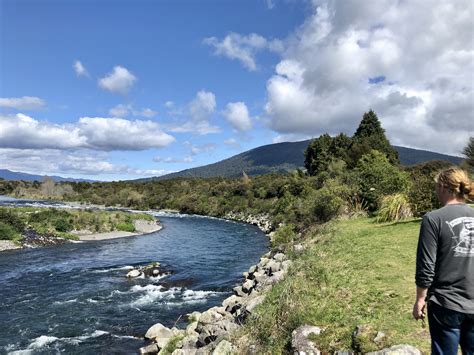 Tongariro River Activities