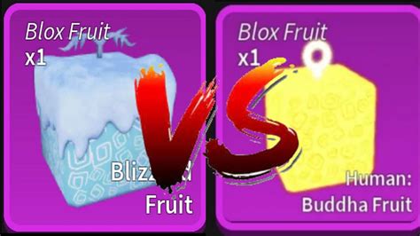 Is BUDDHA Better at PvP then BLIZZARD? (Blox Fruits) - YouTube