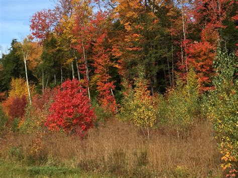 New Hampshire fall foliage