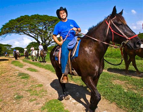 Kualoa Ranch - 1 Hour Horseback Ride - Hawaii Discount