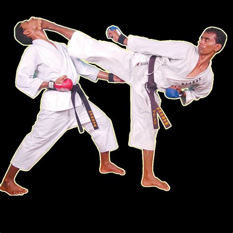 WKF - Karate Image: WKF karate image