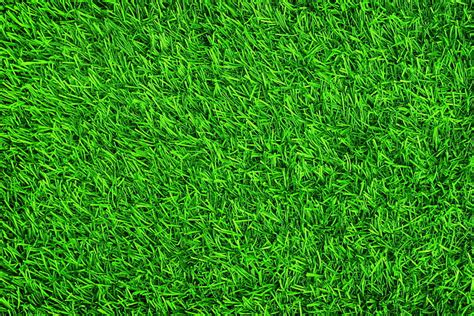 1366x768px | free download | HD wallpaper: green lawn grass, background ...