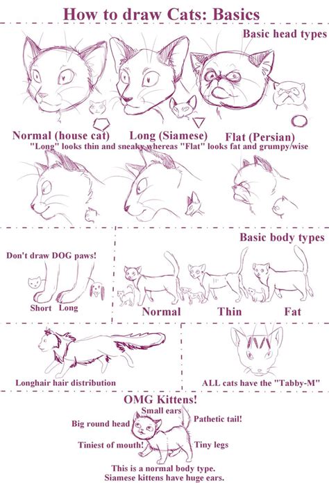 how to draw cats basics for beginners with pictures and instructions on ...