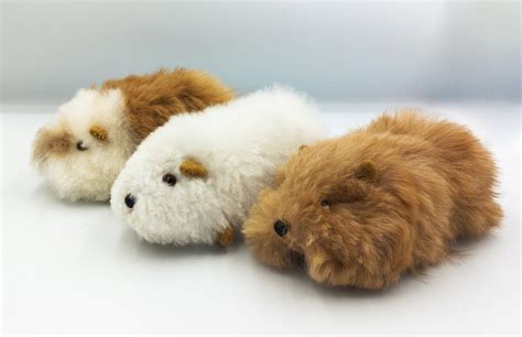 Alpaca Small Guinea Pig Stuffed Animal | ubicaciondepersonas.cdmx.gob.mx