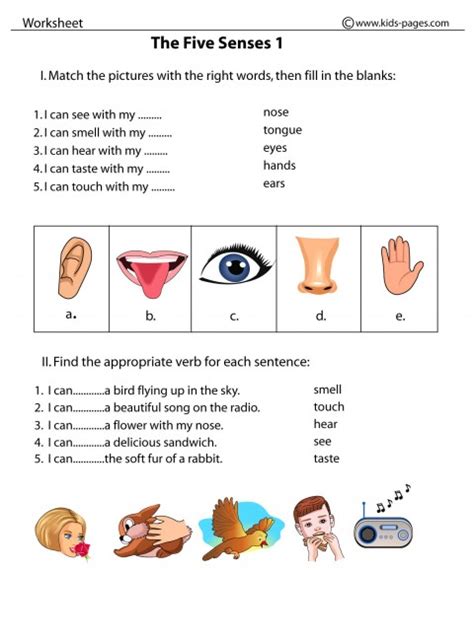 The Five Senses 1 worksheet