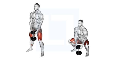 Dumbbell Sumo Squat - Guide, Benefits, and Form