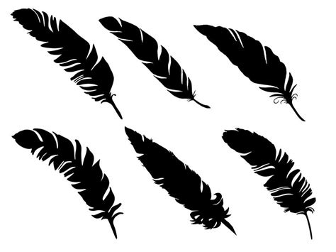 Feather Cutout Silhouette Svg