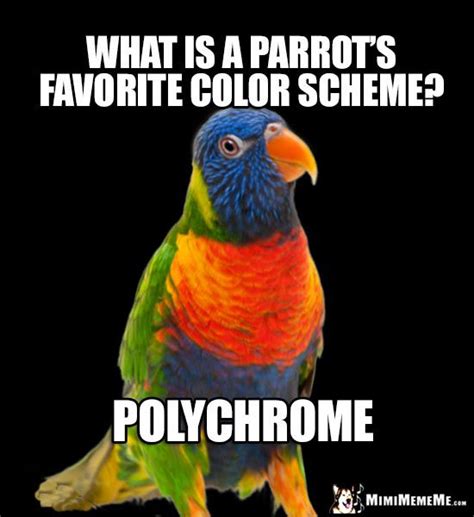 Pretty Bird Asks: What is a parrot's favorite color scheme? Polychrome ...