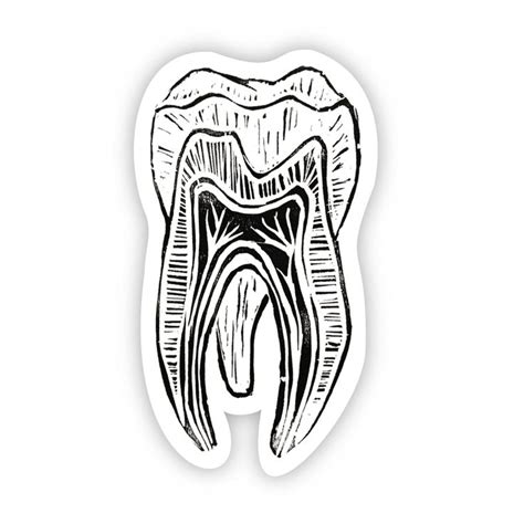 Black and White Tooth Sticker | White teeth, Dental art, Dentistry