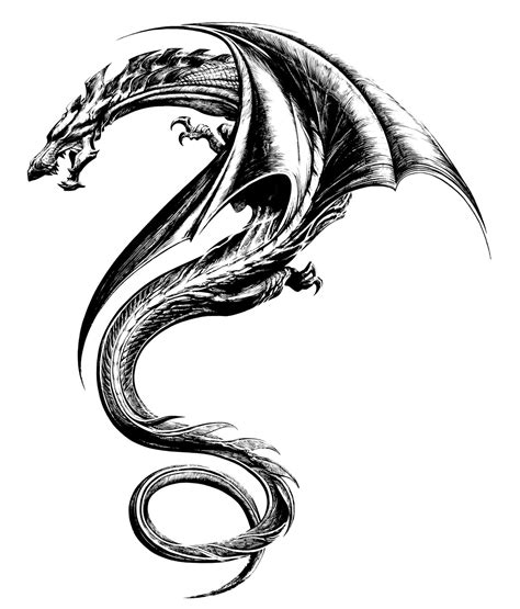 60 Awesome Dragon Tattoo Designs for Men