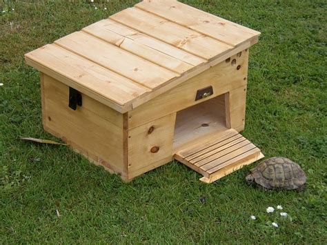 tortoise hut - Google Search | Tortoise house, Tortoise care, Tortoises