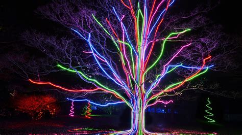 Lightscape returns to the San Antonio Botanical Gardens - SATXtoday