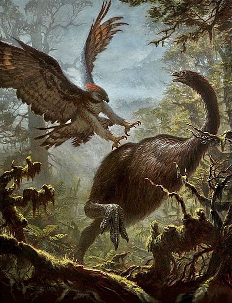 Haast's Eagle Attacking a Giant Moa in 2022 | Prehistoric animals ...