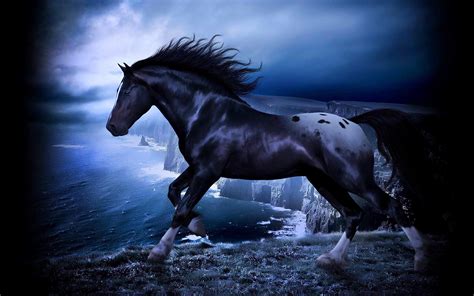 Wild Stallion HD desktop wallpaper : Widescreen : High Definition ...