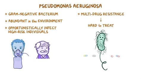 Pseudomonas aeruginosa Treatment: Causes, Symptoms