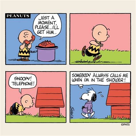 peanuts comic Peanuts Snoopy Comics, Snoopy Cartoon, Peanuts Cartoon ...