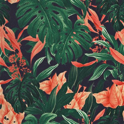 Free Floral Pattern on Behance