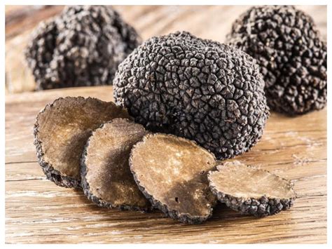 What are Truffle Mushrooms and everything you should know about them