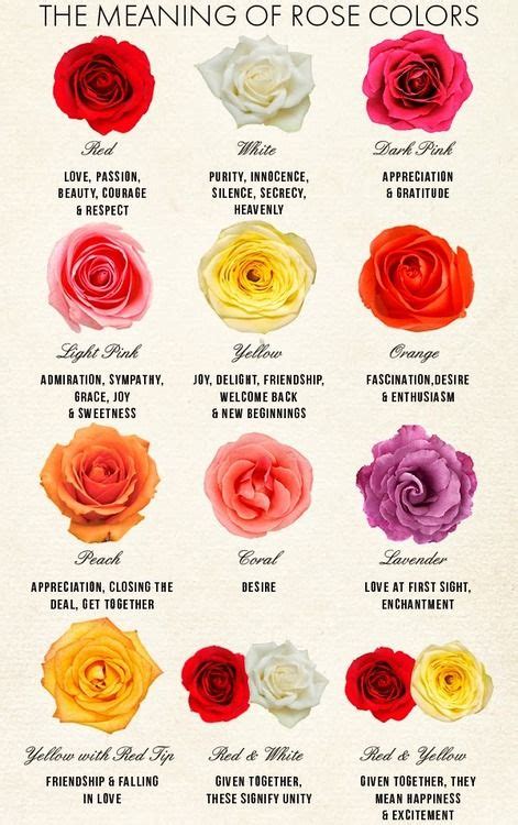 The Meaning of Rose Colors. | planting. | Pinterest | Be cool, Stand ...