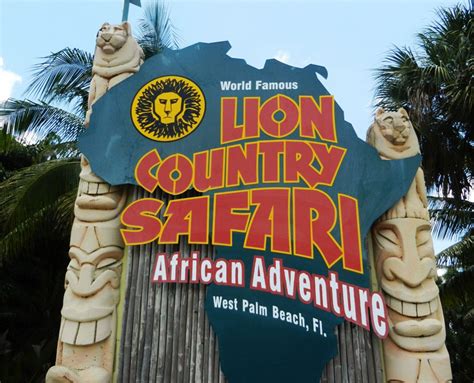 Lion Country Safari - MGM Contracting