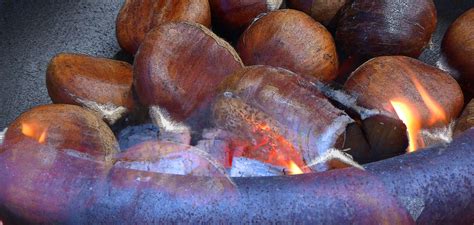 Roasting Chestnuts Open Fire Free Stock Photo - Public Domain Pictures