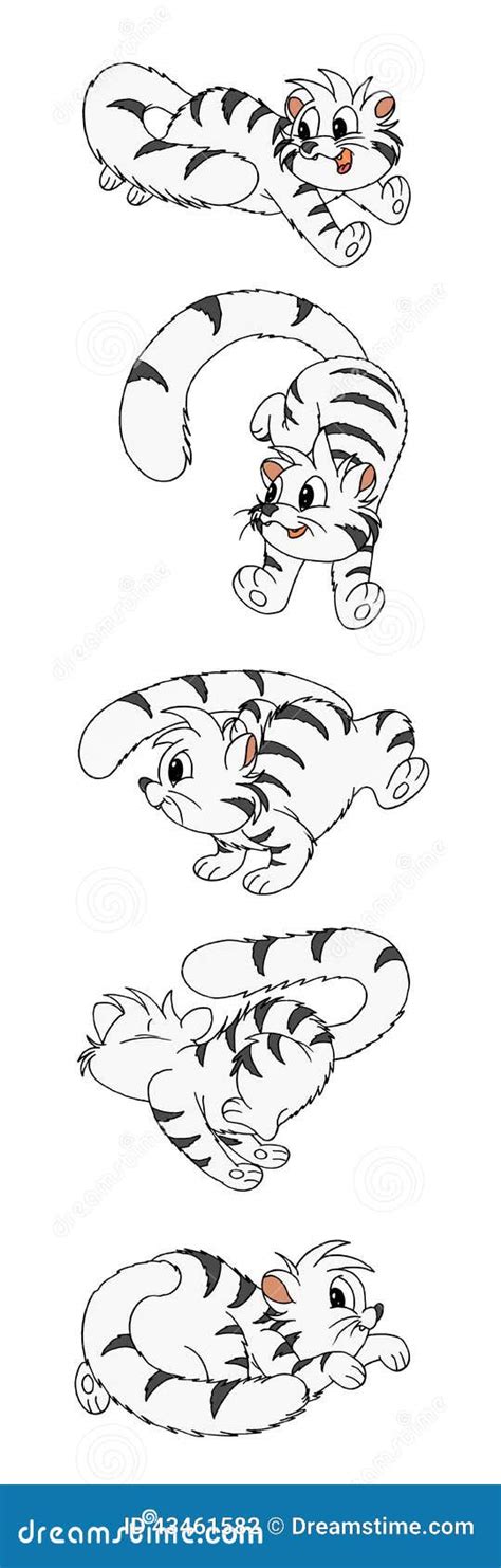 Cat Chasing A Tail Stock Photo | CartoonDealer.com #43461582