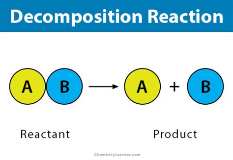 Awesome Decomposition Reaction Example Equation Reactants Of Cellular ...