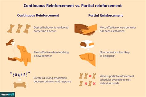 What Are The 4 Types Of Reinforcement Which One Do You Find Most ...