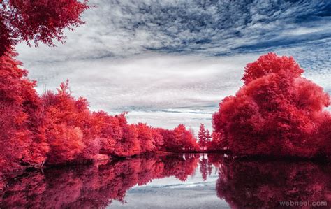 40 Most Beautiful InfraRed Photography Examples for your inspiration ...