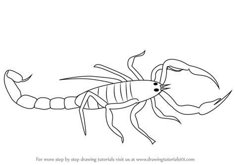 How to Draw a Scorpio (Wild Animals) Step by Step | DrawingTutorials101.com