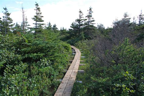 Cape Spear Path | Hiking The East Coast Trail (& Beyond)