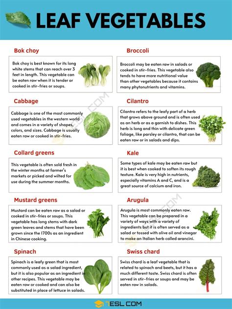 Leaf Vegetable: Examples of Leaf Vegetables with Pictures and Facts ...