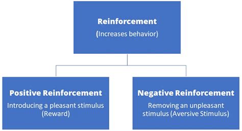 B.F. Skinner’s Theory of Operant Conditioning