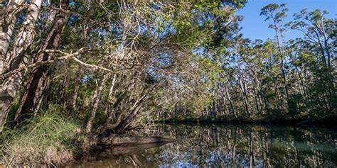 Queens Lake Nature Reserve | Port Macquarie