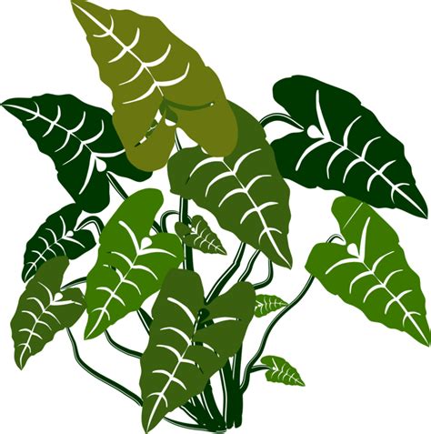 Jungle Plants Drawing | Free download on ClipArtMag