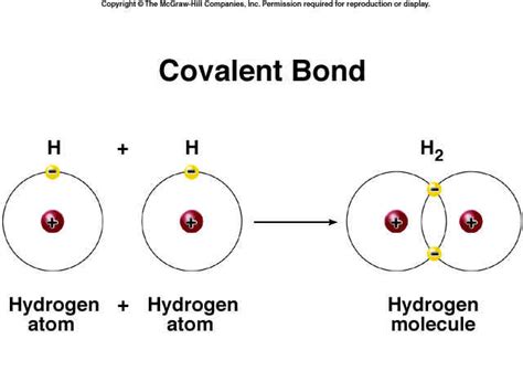 Science BEWBS! or…Covalent Bonds - MyConfinedSpace