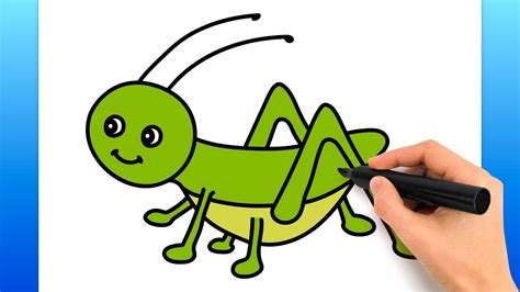 Easy Grasshopper Drawing