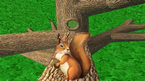 Squirrel Simulator By Avelog - Life Of Squirrel - Gameplay Part 1 - YouTube