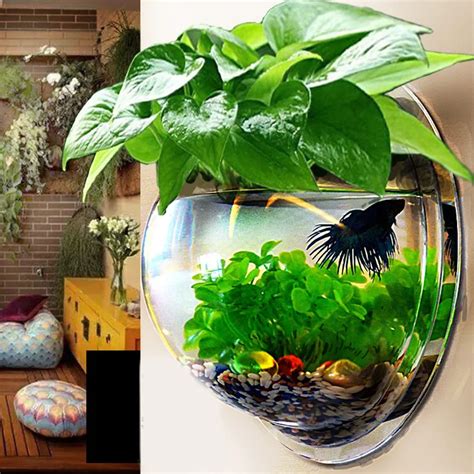 Wall Mount Hanging Aquarium Bowl Decoration Fish Bowls Decorative Plant ...