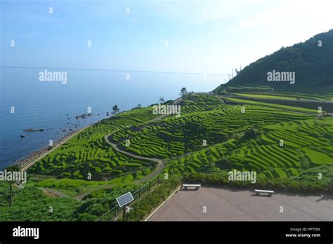 Senmaida rice terraces in Wajima, Japan Stock Photo - Alamy