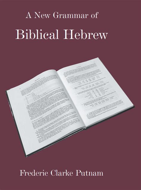 A New Grammar of Biblical Hebrew - Sheffield Phoenix Press