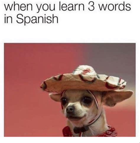 Funny Spanish Teacher Memes Spanish - Perpustakaan Sekolah