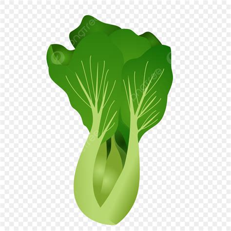 Mustard Greens Vegetable PNG, Vector, PSD, and Clipart With Transparent ...